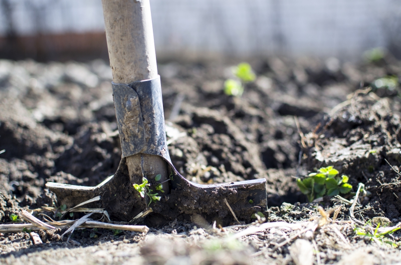 jardinerie-HYERES-min_equipment-2047314